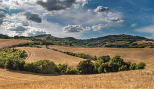 cosulenza ambientale rimini